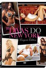 Watch WWE Divas Do New York Tvmuse