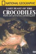 Watch National Geographic: The Last Feast of the Crocodiles Tvmuse