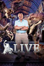 Watch David Attenborough\'s Natural History Museum Alive Tvmuse