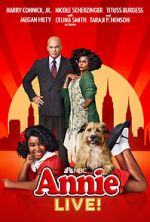 Watch Annie Live! Tvmuse