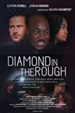 Watch Diamond in the Rough Tvmuse