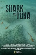 Watch Shark vs Tuna Tvmuse