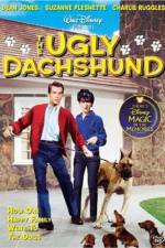 Watch The Ugly Dachshund Tvmuse