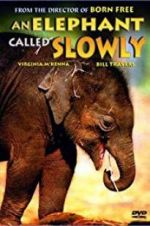 Watch An Elephant Called Slowly Tvmuse