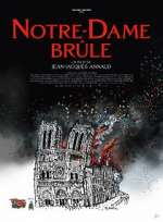 Watch Notre-Dame brûle Tvmuse