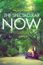 Watch The Spectacular Now Tvmuse