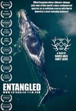 Watch Entangled: The Race to Save Right Whales from Extinction Tvmuse