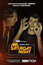 Watch Mr. Saturday Night Tvmuse