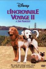 Watch Homeward Bound II Lost in San Francisco Tvmuse