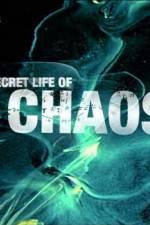 Watch The Secret Life of Chaos Tvmuse
