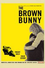 Watch The Brown Bunny Tvmuse