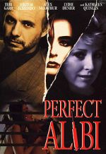 Watch Perfect Alibi Tvmuse