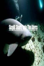 Watch National Geographic Wild Sixgill Shark Into The Abyss Tvmuse