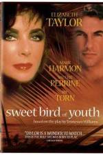 Watch Sweet Bird of Youth Tvmuse