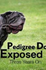 Watch Pedigree Dogs Exposed, Three Years On Tvmuse