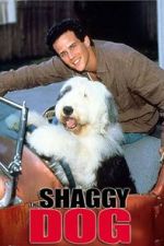 Watch The Shaggy Dog Tvmuse