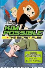Watch "Kim Possible" Attack of the Killer Bebes Tvmuse