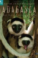 Watch Madagascar Island of Marvels Tvmuse
