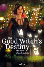 Watch The Good Witchs Destiny Tvmuse