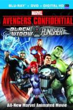 Watch Avengers Confidential: Black Widow & Punisher Tvmuse