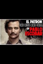 Watch The Rise and Fall of Pablo Escobar Tvmuse