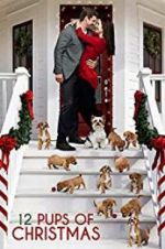 Watch 12 Pups of Christmas Tvmuse