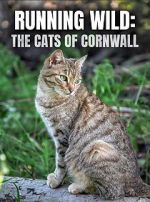 Watch Running Wild: The Cats of Cornwall (TV Special 2020) Tvmuse