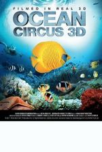 Watch Ocean Circus 3D: Underwater Around the World Tvmuse