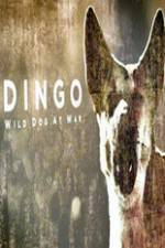 Watch Dingo Wild Dog at War Tvmuse