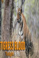 Watch Discovery Channel-Tigress Blood Tvmuse