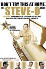 Watch Don't Try This at Home The Steve-O Video Tvmuse