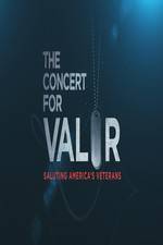 Watch The Concert for Valor Tvmuse