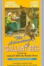 Watch Adventures of Gallant Bess Tvmuse
