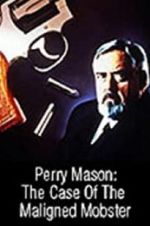Watch Perry Mason: The Case of the Maligned Mobster Tvmuse