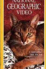 Watch Cats Caressing the Tiger Tvmuse