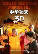 Watch Secrets of Shaolin with Jason Scott Lee Tvmuse