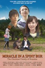 Watch Miracle in Kasama Tvmuse