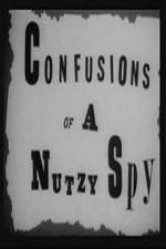 Watch Confusions of a Nutzy Spy Tvmuse