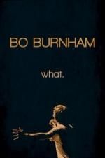 Watch Bo Burnham: what. Tvmuse