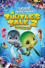 Watch A Turtle\'s Tale 2: Sammy\'s Escape from Paradise Tvmuse