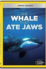 Watch National Geographic The Whale That Ate Jaws Tvmuse