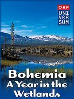 Watch Bohemia: A Year in the Wetlands Tvmuse