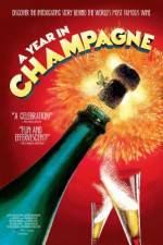 Watch A Year in Champagne Tvmuse