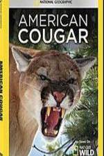 Watch National Geographic - American Cougar Tvmuse