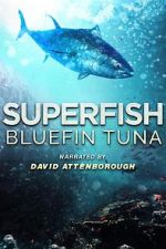 Watch Superfish Bluefin Tuna Tvmuse