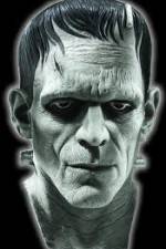 Watch Frankenstein Birth of a Monster Tvmuse