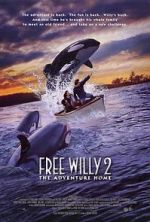 Watch Free Willy 2: The Adventure Home Tvmuse