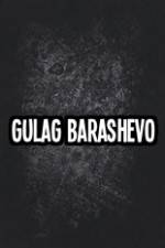 Watch Gulag Barashevo Tvmuse