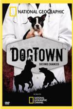 Watch National Geographic DogTown Tvmuse
