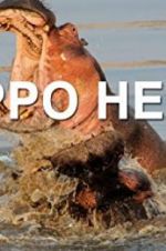 Watch Hippo Hell Tvmuse